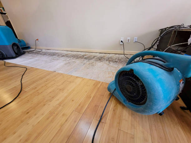 Professional Water Damage Repair technician working in West Grove, PA